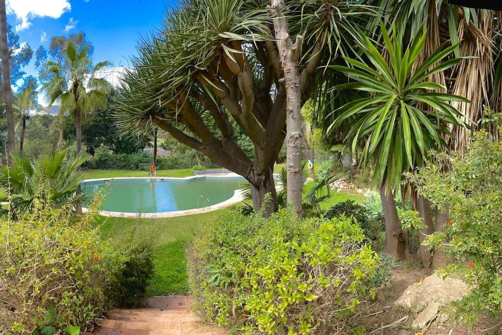 Klimatyczny Loft I Egzotyczny Basen Lägenhet Benalmádena Exteriör bild