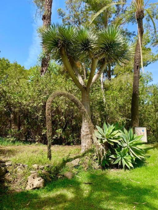 Klimatyczny Loft I Egzotyczny Basen Lägenhet Benalmádena Exteriör bild