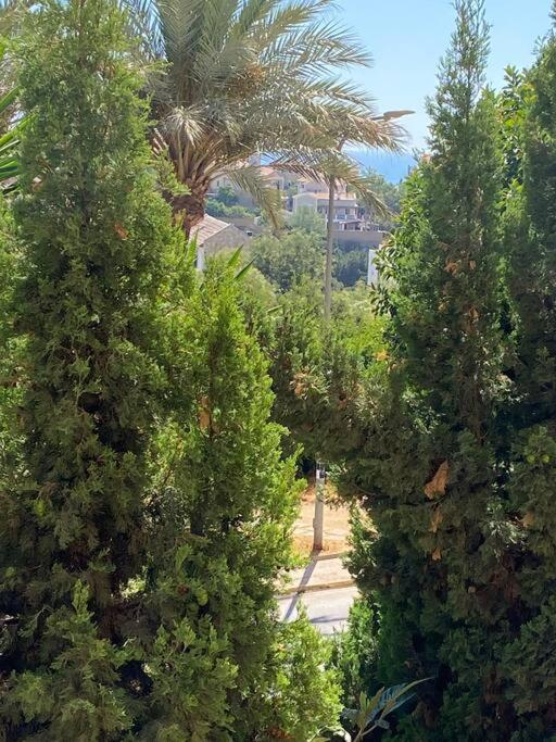 Klimatyczny Loft I Egzotyczny Basen Lägenhet Benalmádena Exteriör bild