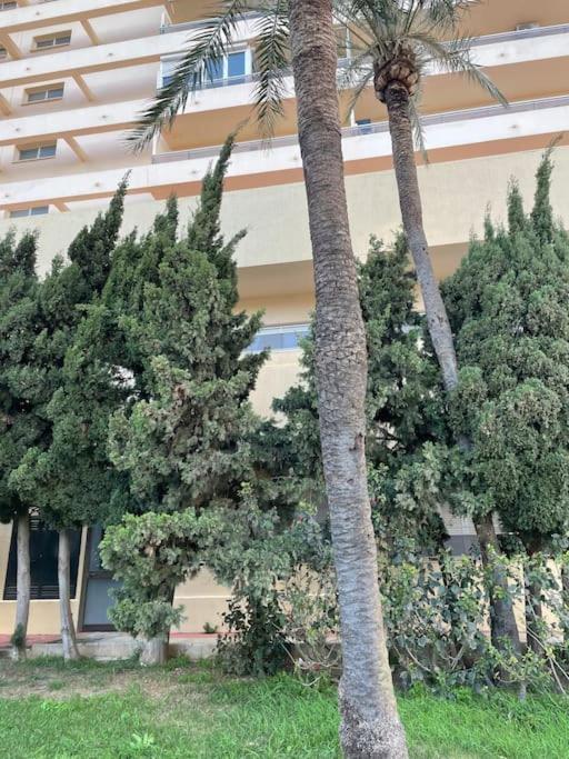 Klimatyczny Loft I Egzotyczny Basen Lägenhet Benalmádena Exteriör bild