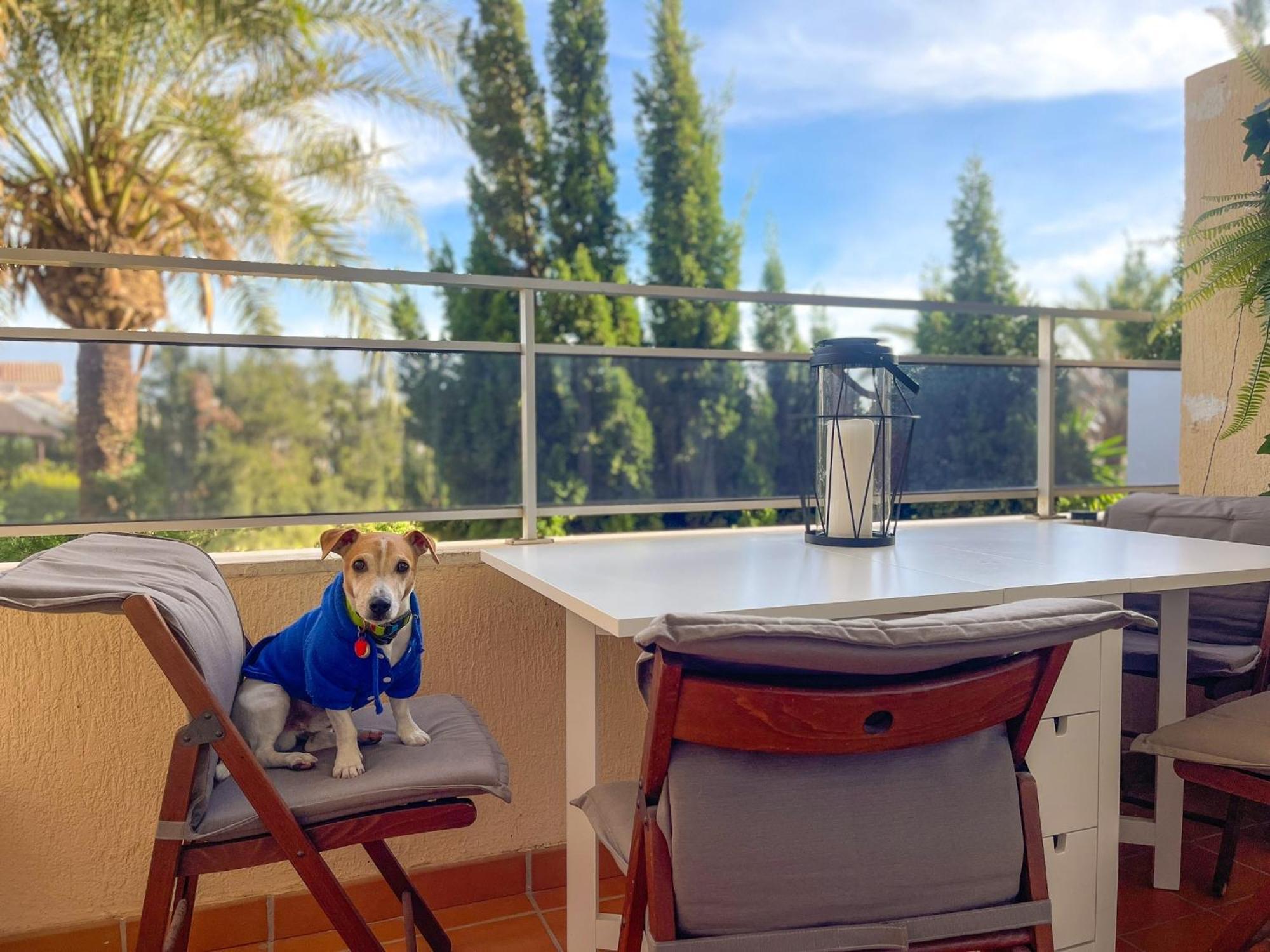 Klimatyczny Loft I Egzotyczny Basen Lägenhet Benalmádena Exteriör bild